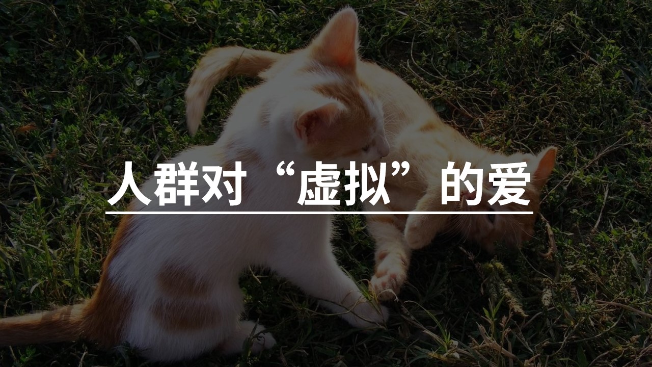 虚拟的爱.jpg
